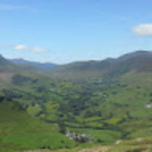 Meet your Posher, Lottie